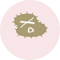 virus04